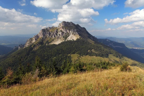 Sommer-Berglandschaft mit Gipfel rozsutec — Stockfoto