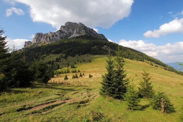 Montagna estiva — Foto Stock