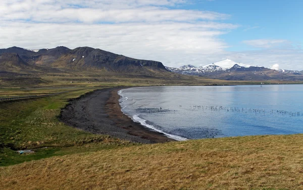 Côte islandaise et océan — Photo