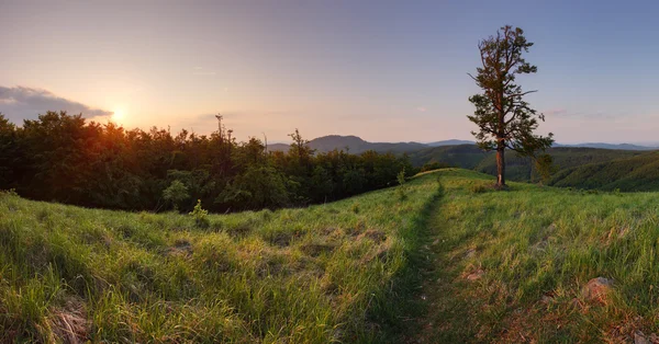 Sonnenuntergang im Gipfel Skalnata in der Slowakei - kleine Karpaten — Stockfoto