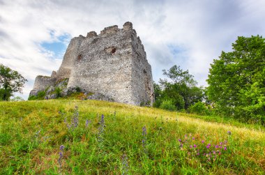 Harabe kale Tematis, Slovakya doğa manzara