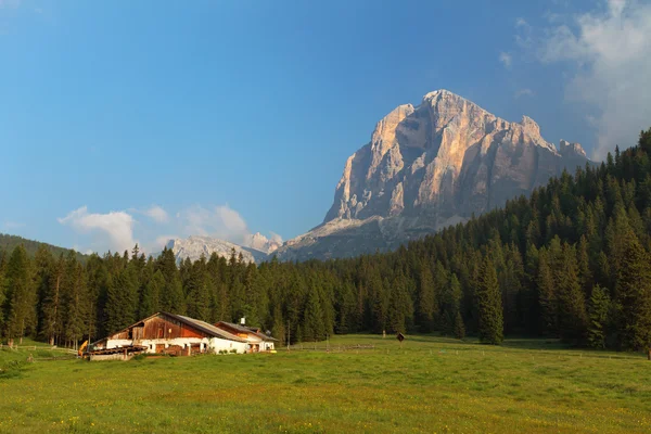 Fermă de casă cu pădure verde și vârf Tofane, Dolomiți Alpi — Fotografie, imagine de stoc