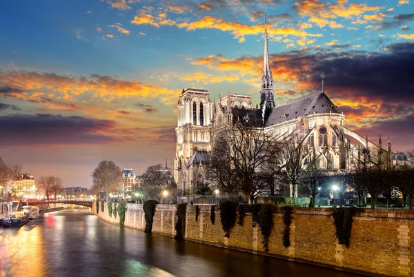 Eiland Cite met kathedraal Notre Dame de Paris — Stockfoto