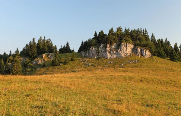 Rock in Fatras with pasture — Stock Photo, Image