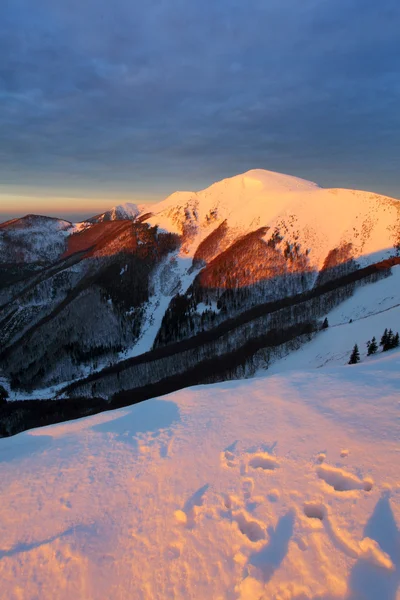 Tramonto di montagna — Foto Stock