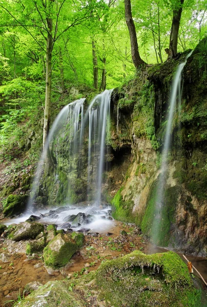 Green waterfalls spring in Slovakia — Stock Photo, Image