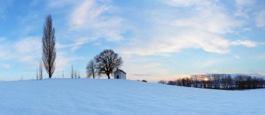 Witner çayır panorama ağaç