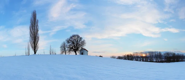 Witner meadow panorama with tree — Stock Photo, Image