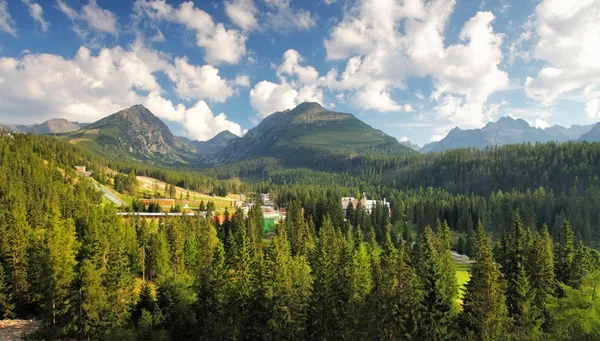 Tátra, zöld erdő - Strbske pleso, Szlovákia — Stock Fotó