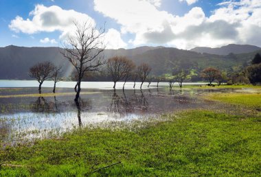 Sete Cidades 'in Azores Gölü' nde su yansıması ve güneş altında Portekiz 'in Sao Miguel adasında.