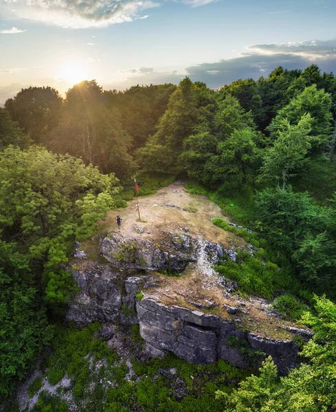 Slovakya Karpatya 'daki İHA' dan orman dağını kiralıyor.