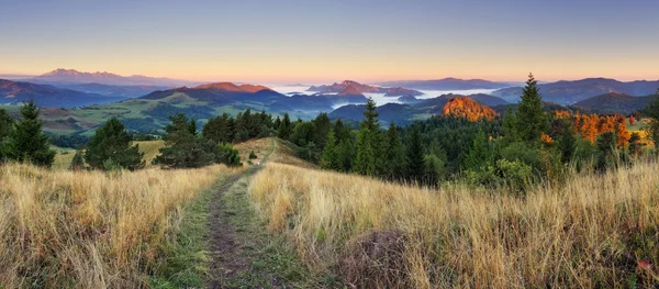 Краєвид в П'єніни, Словаччина — стокове фото