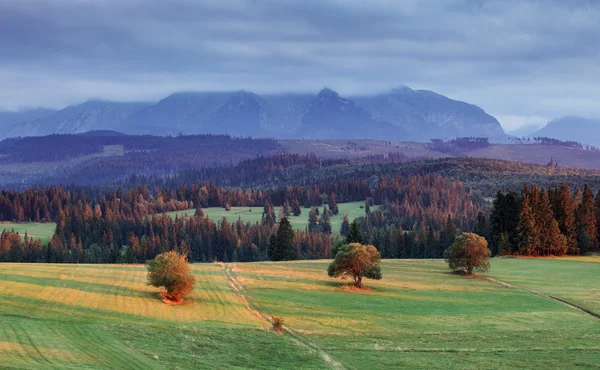 Paysage en Pieniny, Slovaquie — Photo