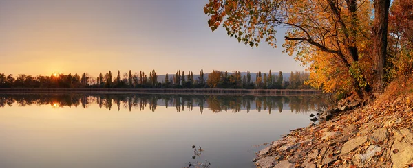 Lago no outono com árvore, Jursky Sur — Fotografia de Stock