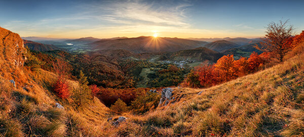 Осенний сельский лесной пейзаж на закате
