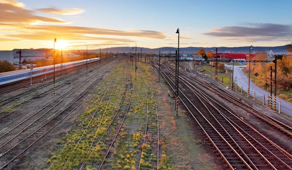 Spoorweg met trein - Railway bij zonsondergang met zon — Stockfoto