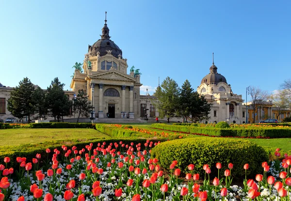 Szechenyi Spa con flores - Budapest, Hungría — Foto de Stock