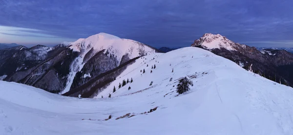 Natur Berggipfel bei Nacht - Slowakei, Panorama — Stockfoto