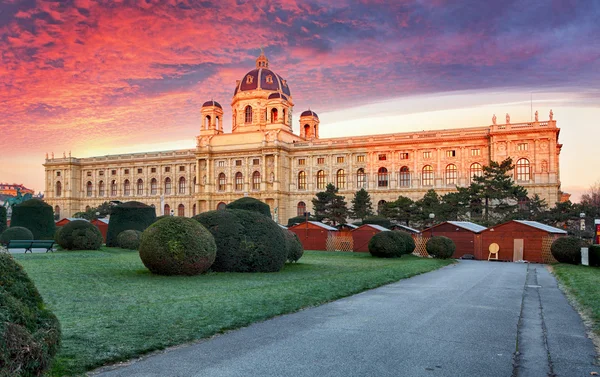 Viena, Áustria. Bela vista dos famosos Kunsthistorisches - Fi — Fotografia de Stock