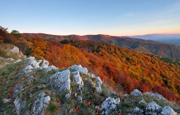 Panorama de montagne forêt d'automne — Photo