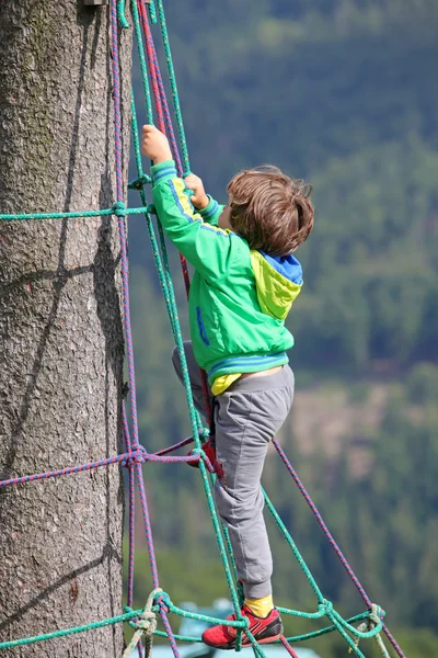 Niño trepando en el árbol y disfrutando de vacaciones de verano —  Fotos de Stock