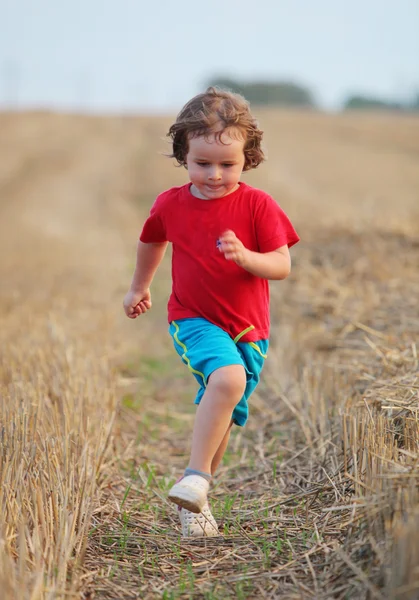 Ragazzo che corre nel campo di grano con vestiti rossi . — Foto Stock