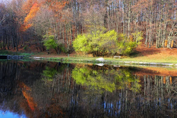 Lake met herfst bos reflectio, Zochova chata — Stockfoto