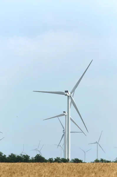 O fermă eoliană în domeniul larg răspândit — Fotografie, imagine de stoc