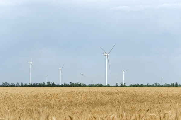Rüzgar Çiftliği, geniş yayılma alanı
