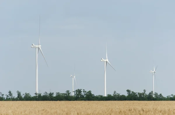 Un parque eólico en el amplio campo — Foto de Stock