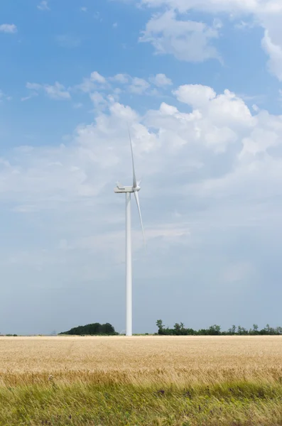 Un parque eólico en el amplio campo — Foto de Stock