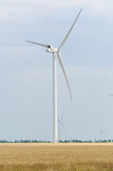 Een windmolenpark in de brede verspreiding veld — Stockfoto