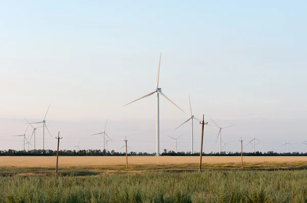 Ветряная ферма в широком поле — стоковое фото