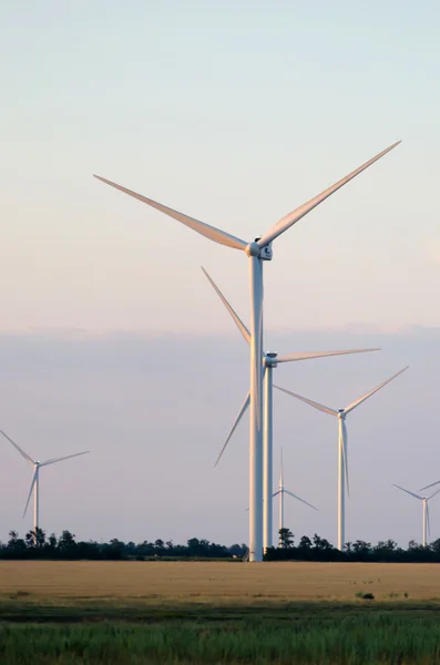 En vindmøllepark på det brede jordet – stockfoto