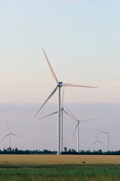 Rüzgar Çiftliği, geniş yayılma alanı