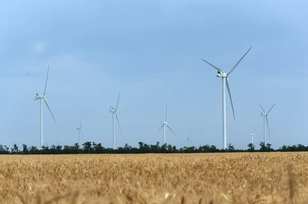 En vindkraftspark i breda spridningen fältet — Stockfoto