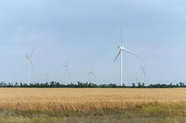 Un parque eólico en el campo —  Fotos de Stock