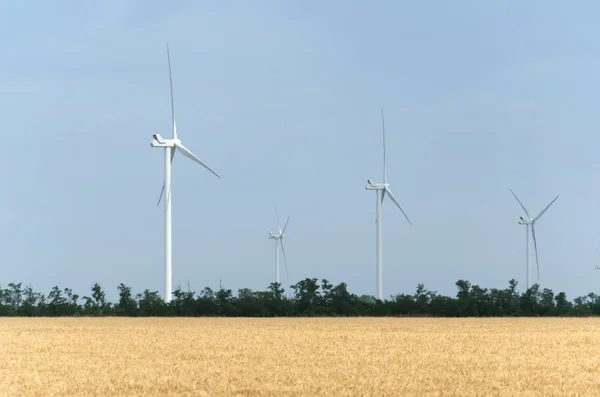 En vindmøllepark i åkeren – stockfoto