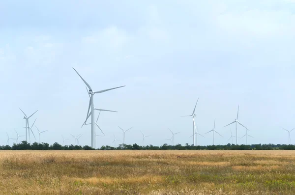 En vindkraftspark i området — Stockfoto