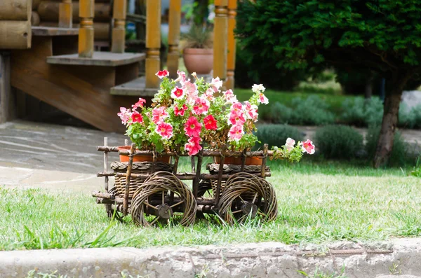 Sokak dekoratif landskape tasarım öğeleri