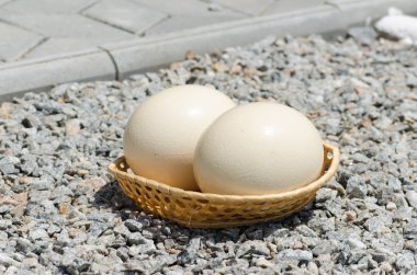 Two big ostrich eggs in a wattled basket clipart