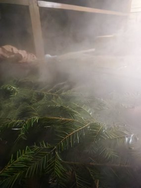 Termal açık banyo ve geri çekilmek için köknar