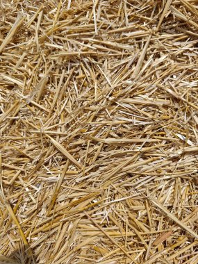 Yakın planda altın bir samanlığın arka planı