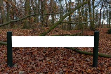 Sonbahar mevsimi yapraklarının olduğu bir parkta boş tabela.