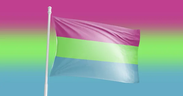 Polysexuell Pride Flag Jag Kommer Firade Festivalen Och Paraden Modern — Stockfoto