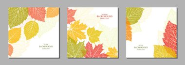 Sonbahar yapraklı çiçek vektör şablonları. Tatil posterleri, tebrik kartları, kapaklar, afişler, davetiyeler için ekin baskısı. Doğal moda tasarımı. Bir dizi dokulu arka plan. Botanik Sanatı.