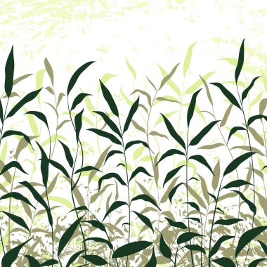 Çiçek vektör geçmişi yapraklar, bitkiler, tebrik kartı için çimenler. Soyut doğal elementlerin silueti. Tatil posteri, kapak, afiş ve davetiye için yeşil bitki baskısı. Moda tasarımı.