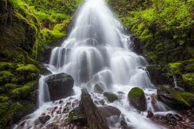Fairy, Oregon 'daki Columbia River Gorge' a düştü..