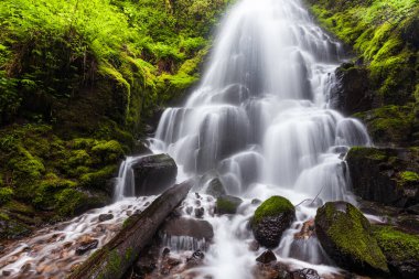 Fairy, Oregon 'daki Columbia River Gorge' a düştü..