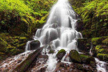 Fairy, Oregon 'daki Columbia River Gorge' a düştü..